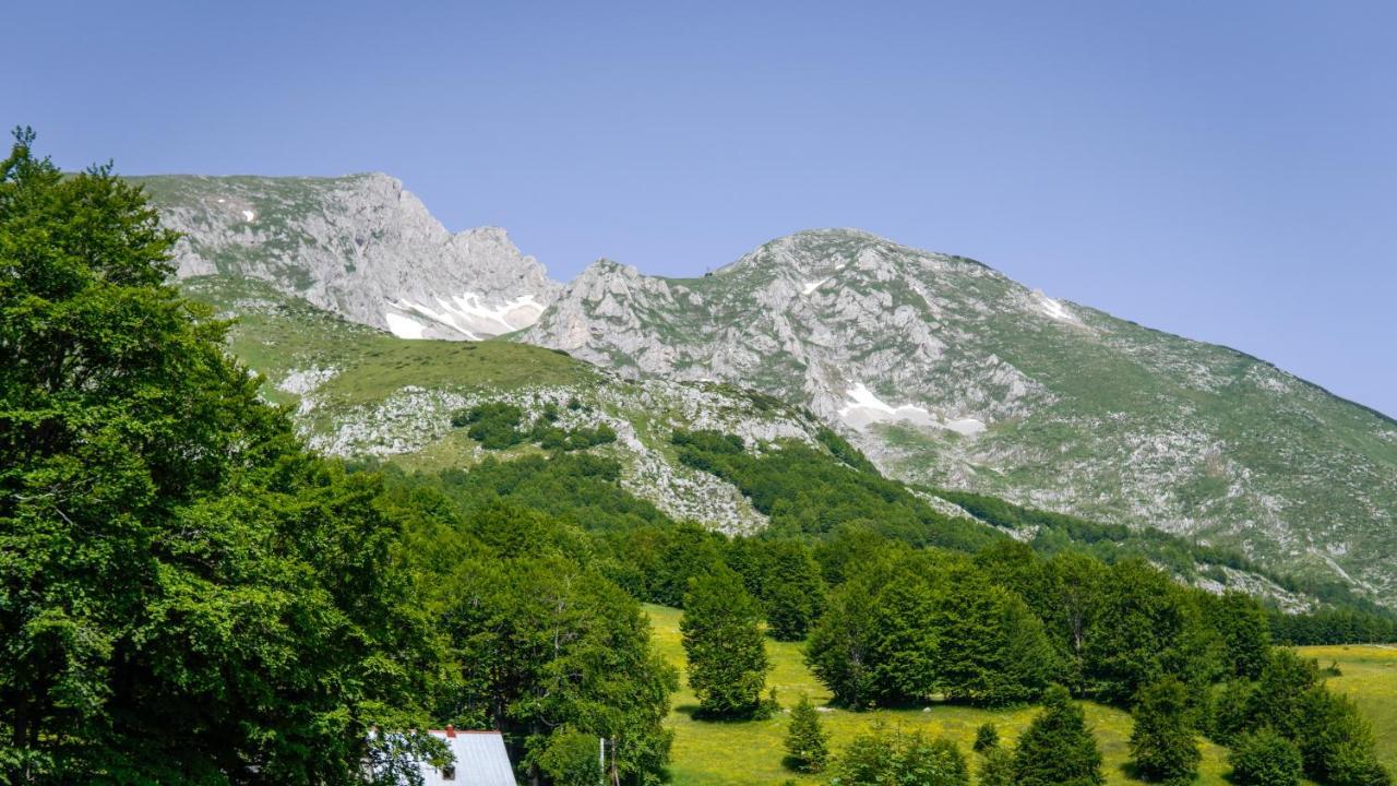 Mountain House Drveni Raj Villa Žabljak Eksteriør bilde